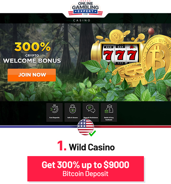 best online bitcoin casino wild casino